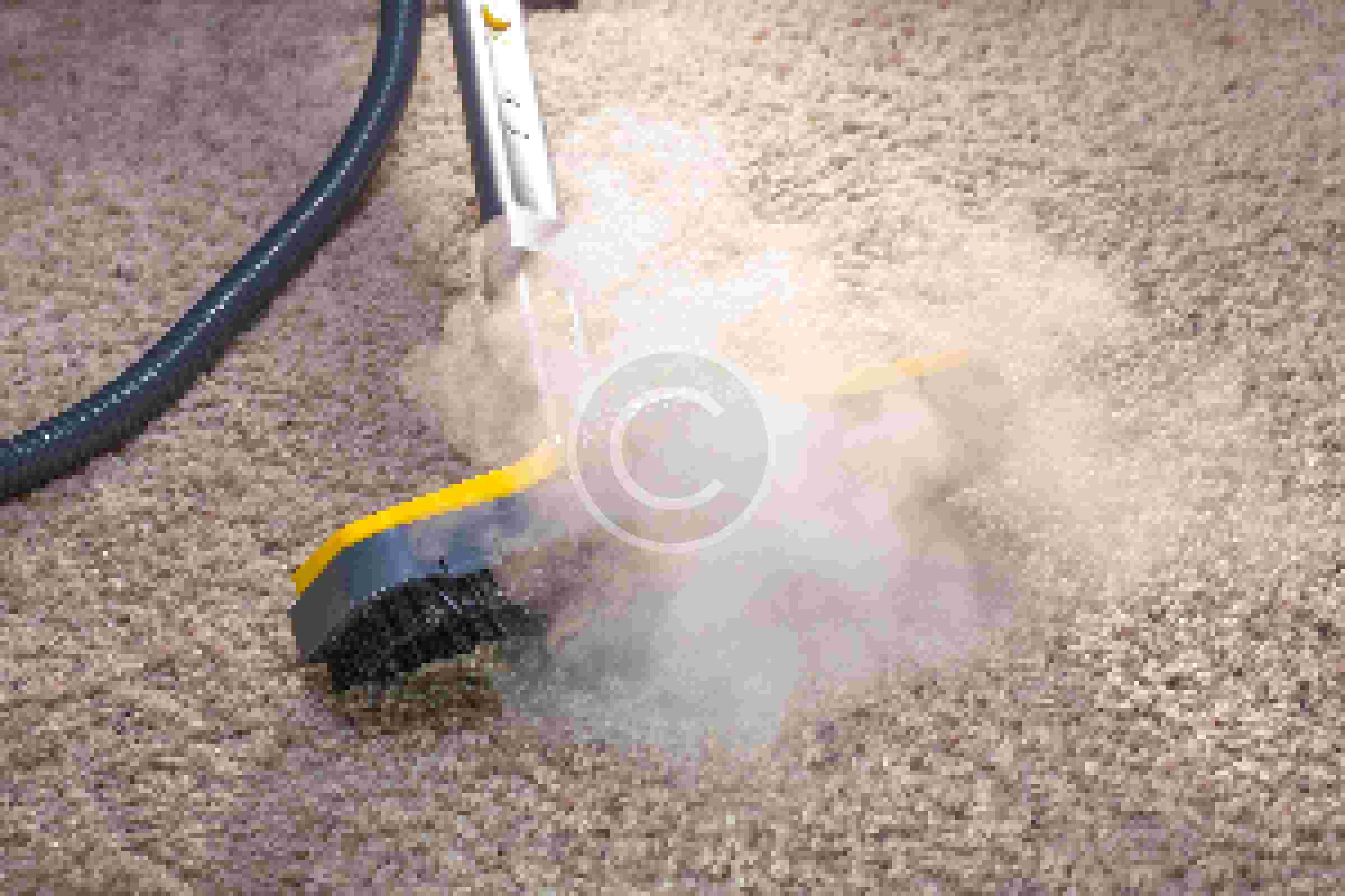 How To Avoid Ruining Your Carpet JD Dixon Carpet Cleaning