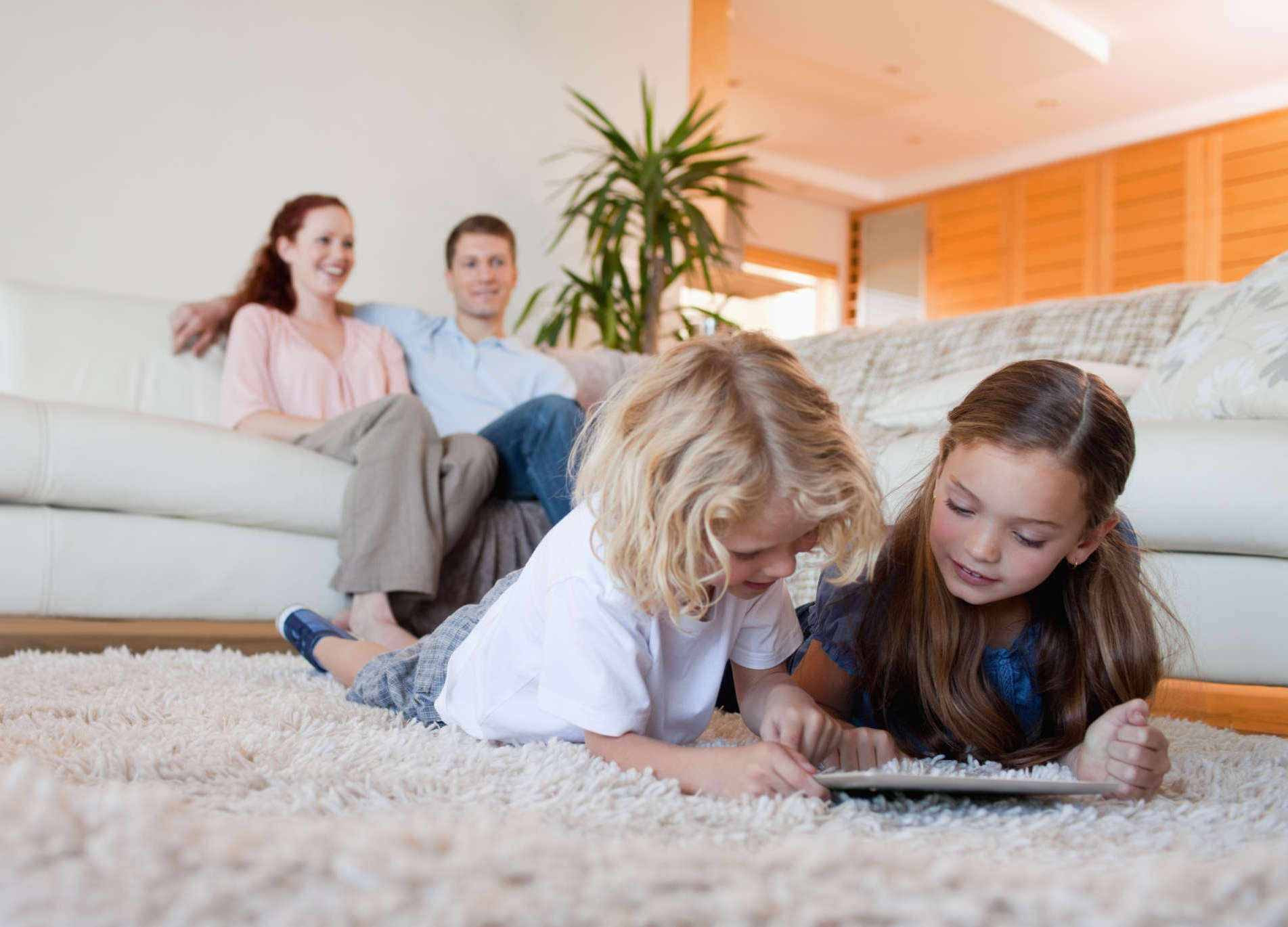 carpet stain removal services hampstead md